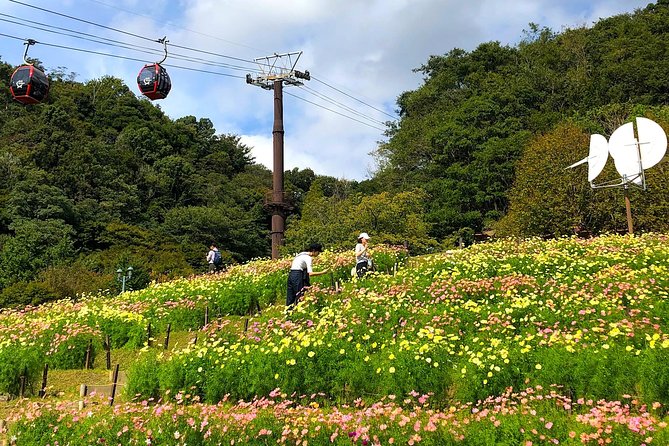 1-Day Kobe Highlights Tour Including Sake Tasting - Additional Information