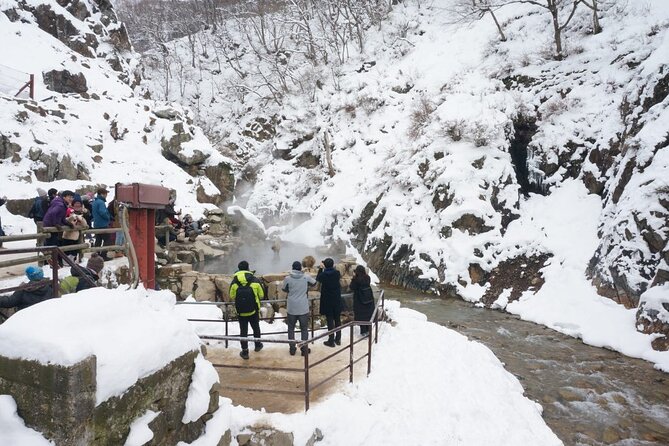 1-Day Snow Monkeys, Zenko-ji Temple & Sake in Nagano - Train Schedule Details