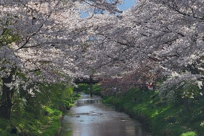 1 Day Tour Mt Fuji,Lake Kawaguchiko With English Speaking Guide - Response to Customer Feedback