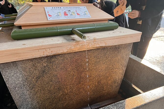 1 Hour Meiji Jingu Shrine Walking Tour in Harajuku - Accessibility and Maximum Travelers