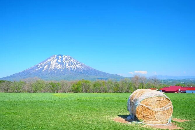 1 Hour Private Photoshoot in Niseko - Important Notes for Participants