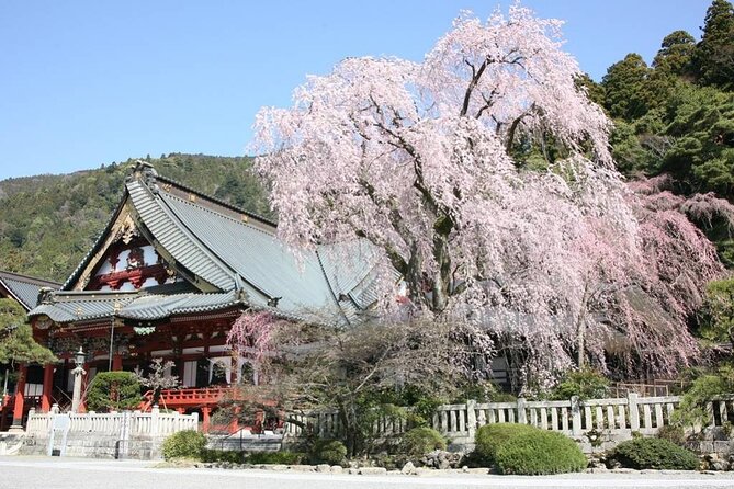 2-Day Private Guided Overnight Hike & Buddhist Temple Stay in Shichimenzan - Price and Cancellation