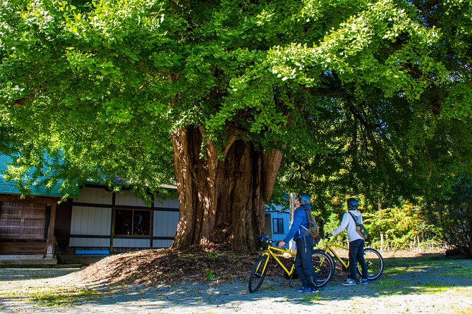 3 Hour Cycling Tour in Kakunodate - Cancellation Policy