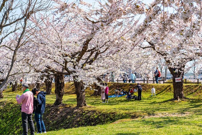 4 Hour Private Cherry Blossom Sakura Experience in Nagasaki - Frequently Asked Questions