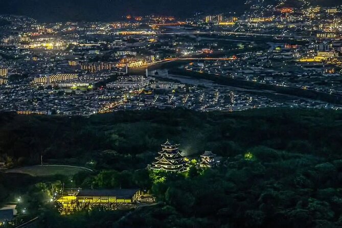 [43 Mins]Kyoto-Osaka Night View Excursion - Pricing and Booking Details