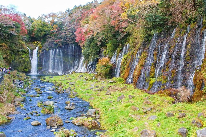 A Trip to Enjoy Subsoil Water and Nature Behind Mt. Fuji - Culinary Delights