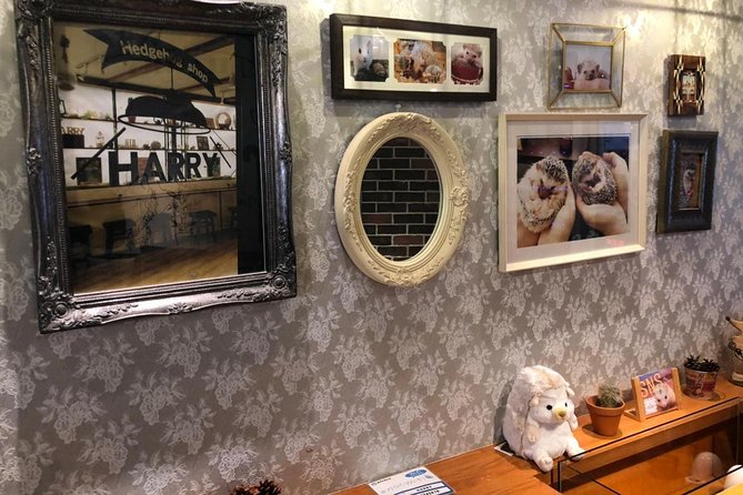 Admission to Hedgehog Cafe in Harajuku - Additional Amenities