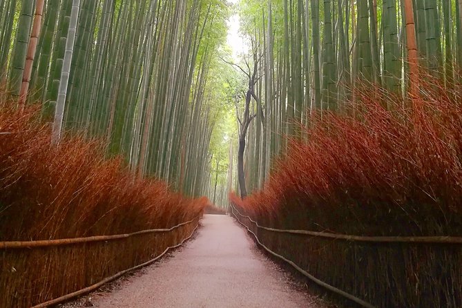 Afternoon Arashiyama Bamboo Forest & Monkey Park Bike Tour - Maximum Travelers