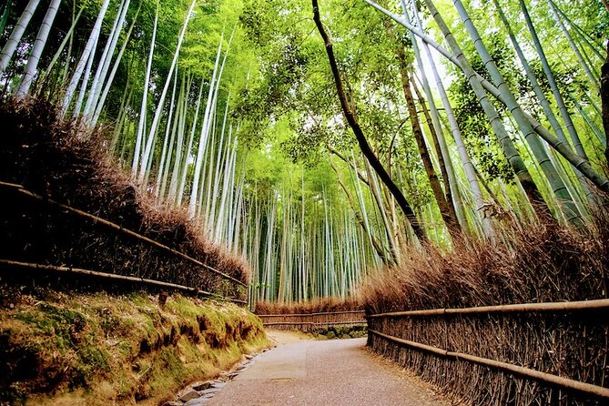 Arashiyama Walking Tour - Bamboo Forest, Monkey Park & Secrets - Directions and Booking Details