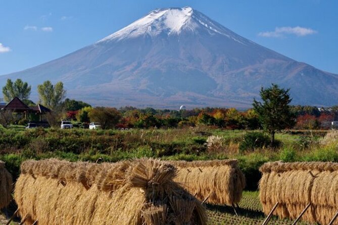 Best Price for 2-6 People! Mt Fuji & Natural Water Private Tour - Booking Details