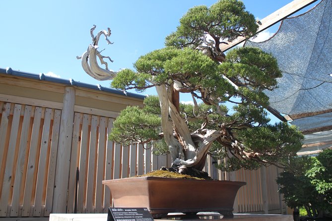 Bonsai Museum & Bonsai Experience - Price and Cancellation Policy