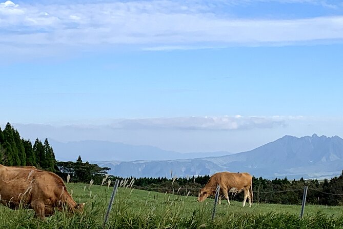 Day Trip Charter Bus Tour to Great Nature Mt.Aso From Fukuoka - Booking Details