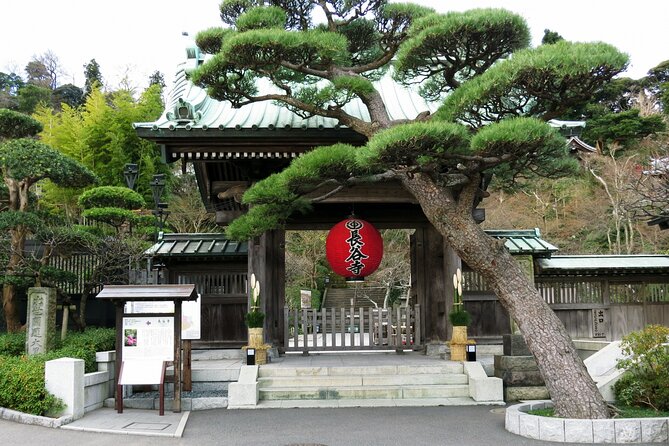 Day Trip Kamakura From Tokyo With National Licensed Guide - Travel Tips