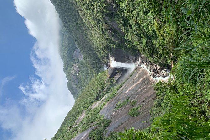 Discovery of Yakushima - Hassle-Free Transport and Logistics