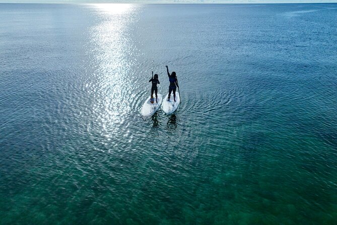 【Private】Clear SUP Ride With Drone Photography in Ishigaki Island - Pricing