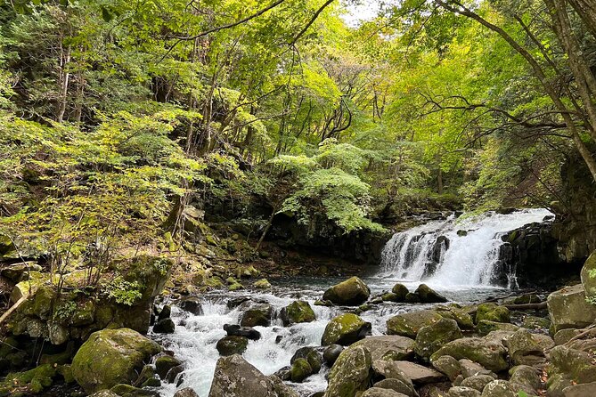 Ebike Tour in Lake Shirakaba and Tateshina Highland Japan - Booking