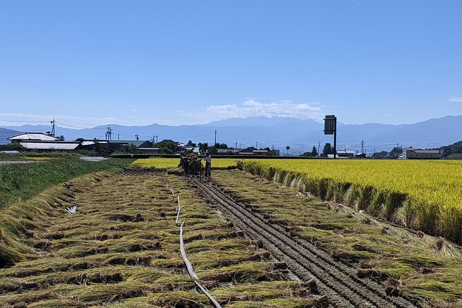 Etour De Matsumoto - Private Electric Bike Tour - Booking and Refund Policy