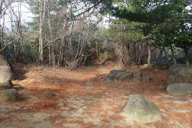 Exercise at Seto Inland Sea National Park, 1 Day Hiking on Mt. Rokko - Safety and Fitness Requirements