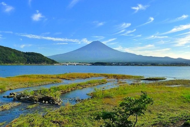 Experience the Stunning Nature of Mt.Fuji - Private Tour - Directions