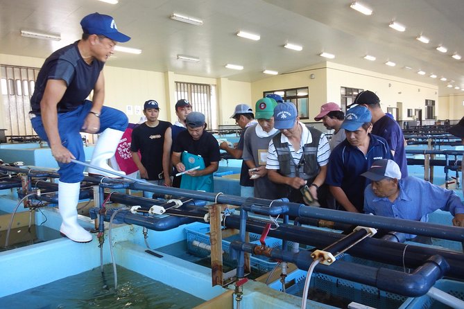 Explore Fishermen Island in Japan(Ise-Shima) - Booking Information