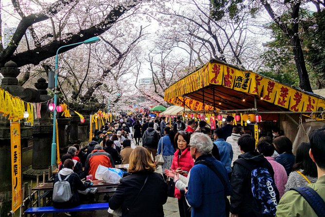 Explore Japan Tour: 12-day Small Group - Important Information