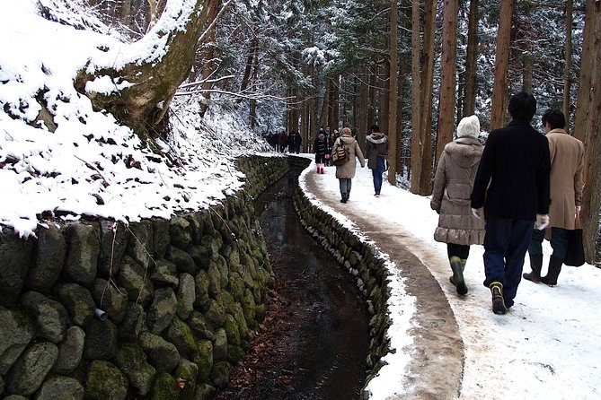 Explore Jigokudani Snow Monkey Park With a Knowledgeable Local Guide - Reviews