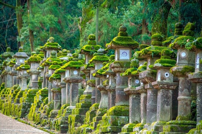 Explore the Best Spots of Arashiyama / Nara in a One Day Private Tour From Kyoto - Booking Information