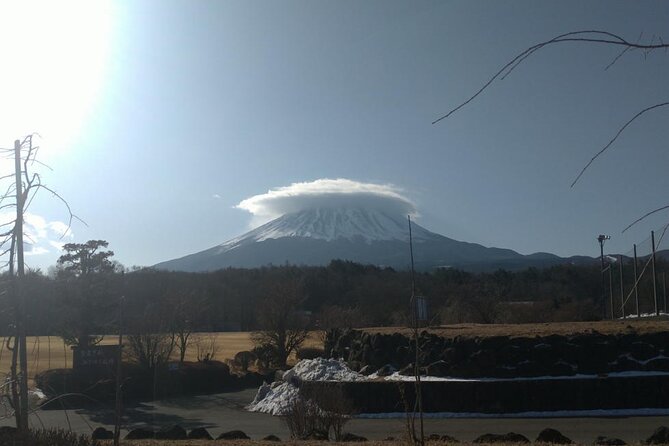 Exploring Mt Fuji Ice Cave and Sea of Trees Forest - Customer Reviews