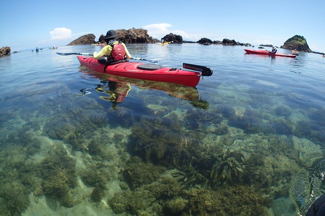 First Seakayak Tour - Tour Directions and Highlights