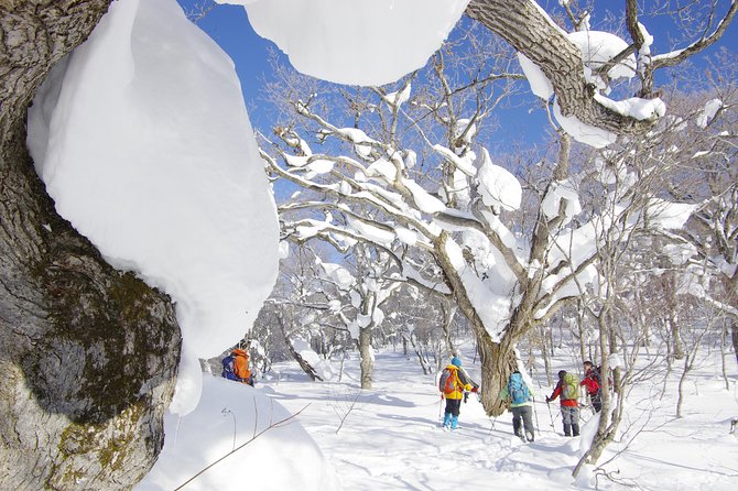 Fluffy New Snow and the Earth Beating, Goshougake Oyunuma Snowshoeing Tour - Meeting and Pickup