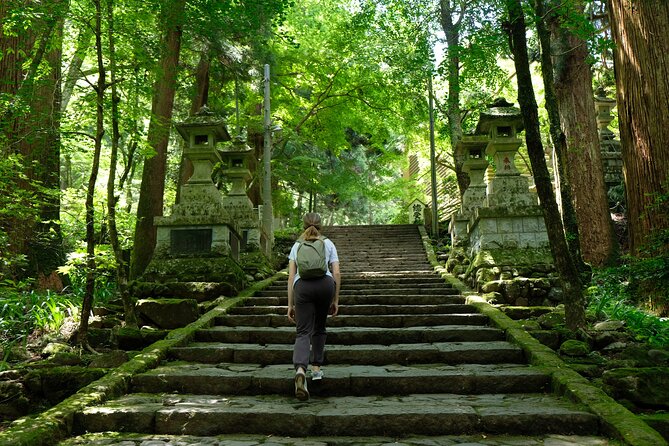 Forest Bathing in Temple and Enjoy Onsen With Healing Power - Booking Information and Pricing