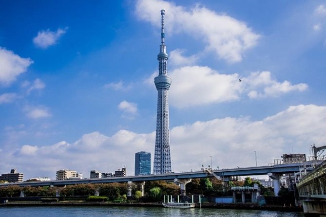 Freely Set up Plans Guided Private Tours in Tokyo - Customer Service