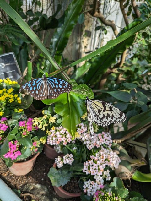 From Kanazawa: Temples, Panoramic Landscape and Butterflies - Meeting Point