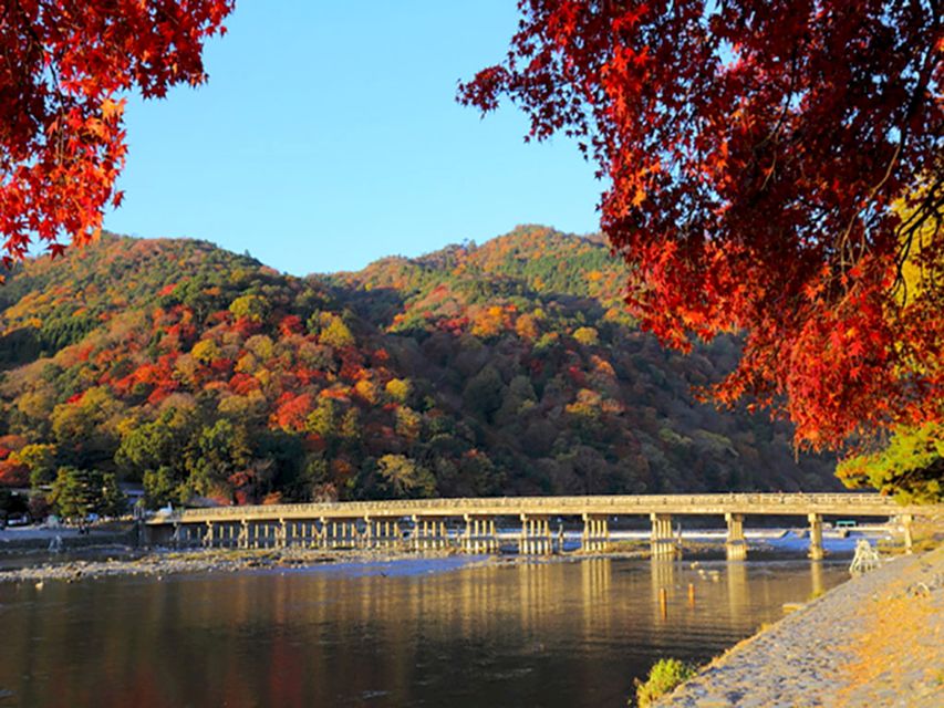 From Kyoto: Guided Day Trip to Kyoto and Nara With Lunch - Duration