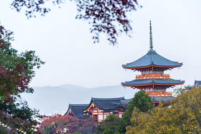 From Osaka: 10-hour Private Custom Tour to Kyoto - Overtime Charges and Policies