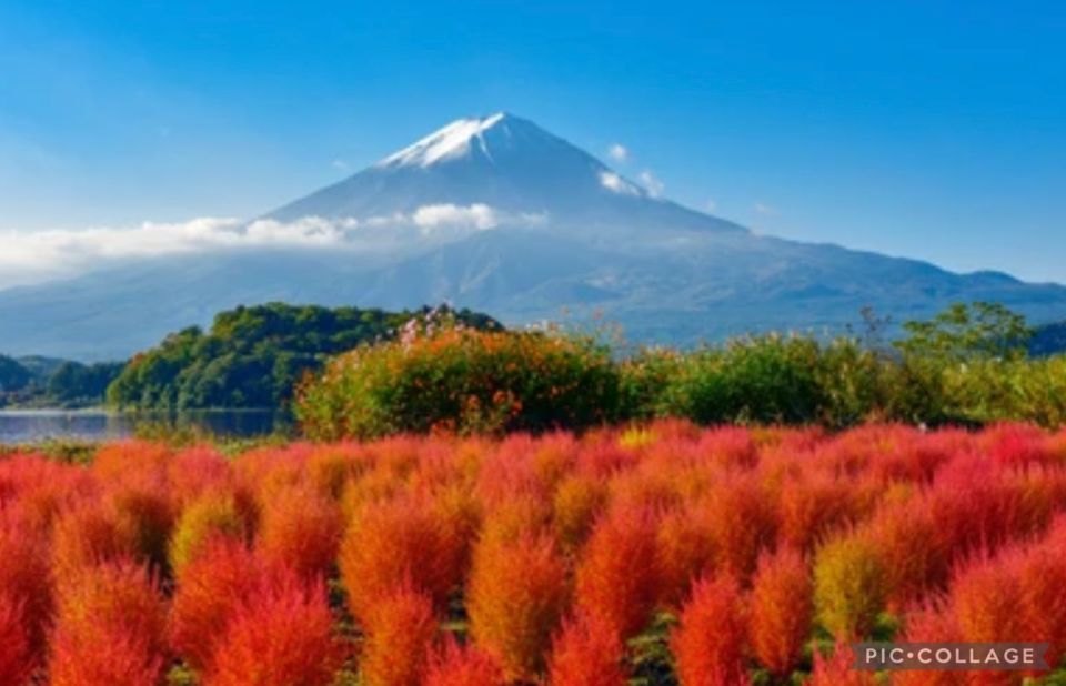From Tokyo/Hakone/Fuji: Hakone & Mt. Fuji Day Trip W/Pickup - Testimonials
