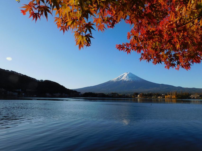 From Tokyo: Hakone, Owakudani, & Lake Kawaguchi Day Tour - Inclusions