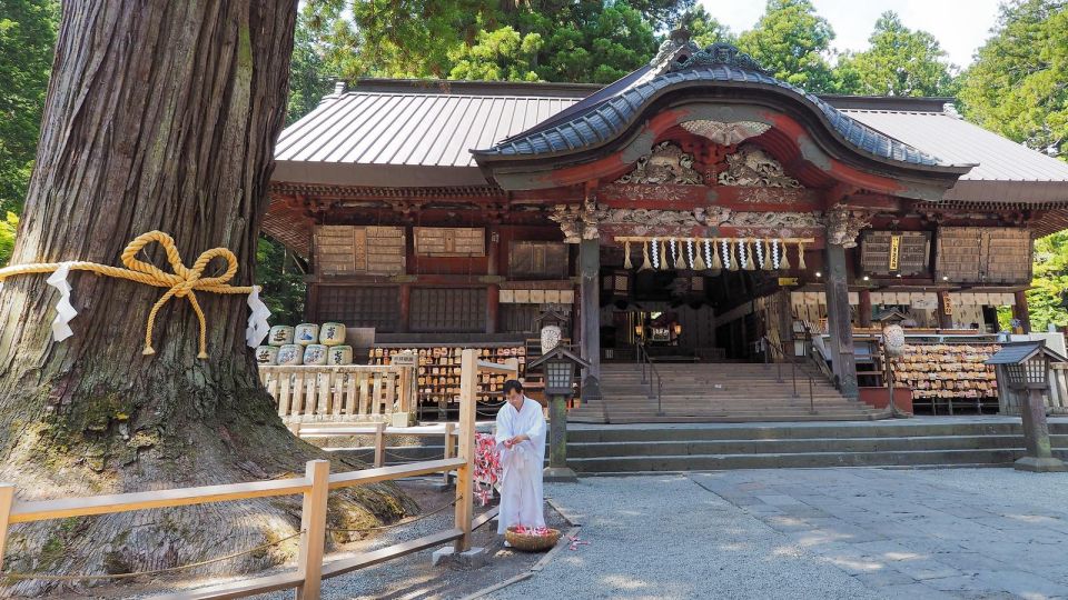 From Tokyo: Private Mount Fuji and Hakone Day Trip - Testimonials