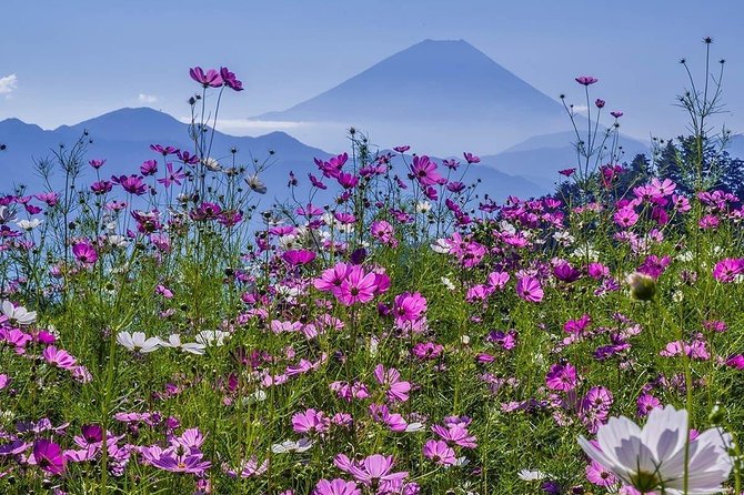 Fuji Kawaguchiko Hakone Private Car Tour - Tour Details