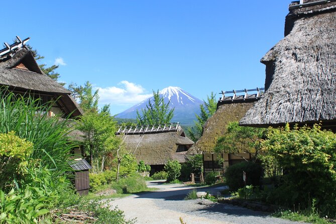 Fuji Spiritual Private Tour With Lunch and Dinner - Booking Information