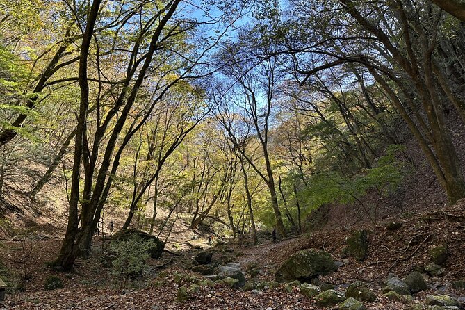 Full Day Guided Hiking Tour in Mt. Mitake - Additional Information