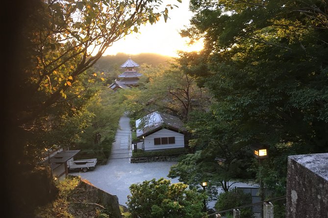 Full-Day Private Guided Tour in a Japanese Mountain: Yoshino, Nara - Price and Booking