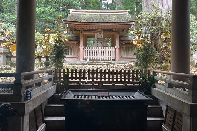 Full-Day Private Guided Tour to Mount Koya - What To Expect