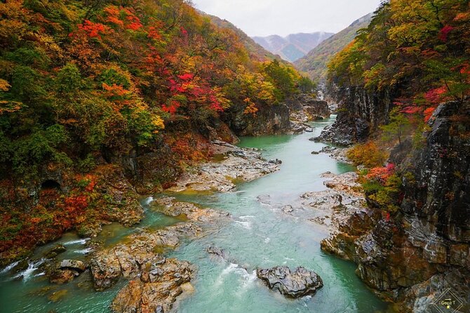 Full Day Private Nikko Tour With English& Hindi Speaking Driver - Booking & Reservation Details