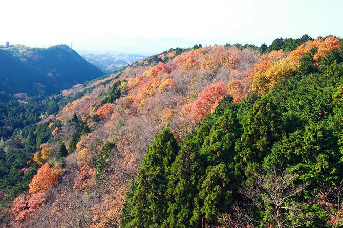 Full Day Private Tour in Hakone - Pricing and Booking