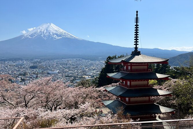 Full Day Private Tour in Mount Fuji and Hakone - Pricing Details