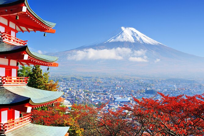 Full Day Private Tour in Mt. Fuji and Hakone - Accessibility Information