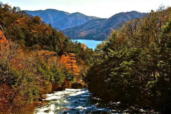 Full Day Private Tour & Sightseeing to Nikko(Eng Speaking Driver) - Additional Information Provided