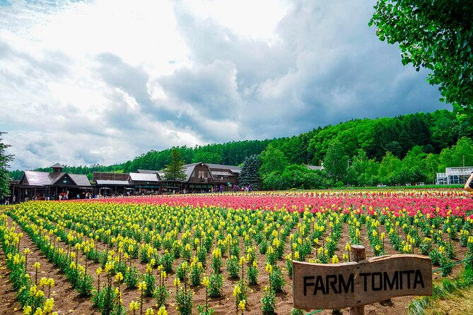 Full Day Tour Hokkaido Biei Green Pond and Furano Flower Sea - End Point Information