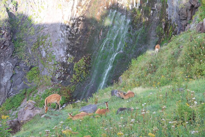 Furepe Waterfall Nature Walk - Additional Information